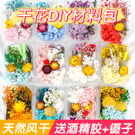 干花diy材料包永生花，假花仿真花干果装饰手工，团扇标本摆件幼儿园