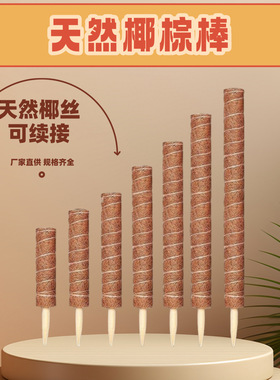 椰棕植物攀爬架绿箩柱棒龟背竹支撑爬藤花架椰丝缠绕棕榈柱杆固定