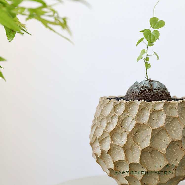 侘寂风陶瓷花盆块根兰花仙人球多肉蝴蝶兰龟甲龙陶土异形山乌龟小