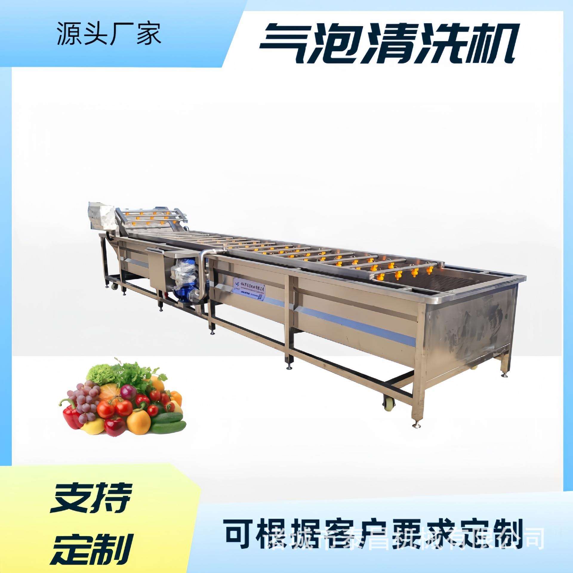 蓝莓气泡清洗机车厘子杨桃清洗设备蕨菜清洗加工流水线梅子清洗机