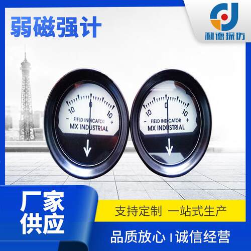 供应弱磁强计专用于探伤机测磁仪表弱磁强计