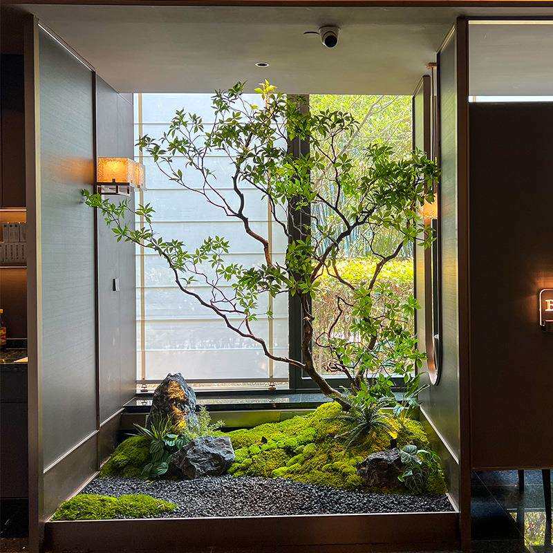 马醉木绿植造景橱窗植物室内榕树装饰树大型假树简约景观