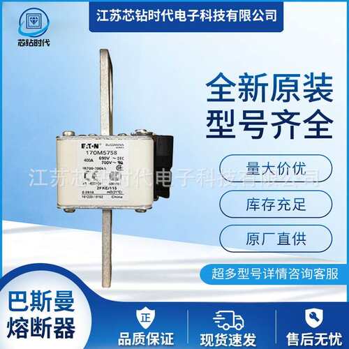 170M5764170M5765170M5766巴斯曼BUSSMANN快速熔断器保险丝