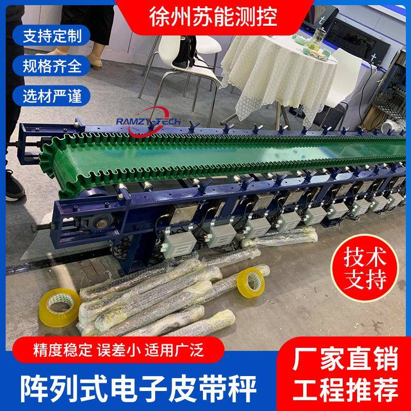 阵列式电子皮带秤水泥钢铁冶金高精度电子皮带秤稳定性好RCE-ABS