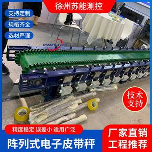 阵列式电子皮带秤水泥钢铁冶金高精度电子皮带秤稳定性好RCE-ABS