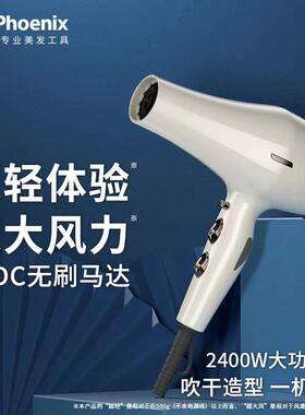 火之凤6200H吹风机理髲店发廊美发型师专用无刷马达2400W吹风机