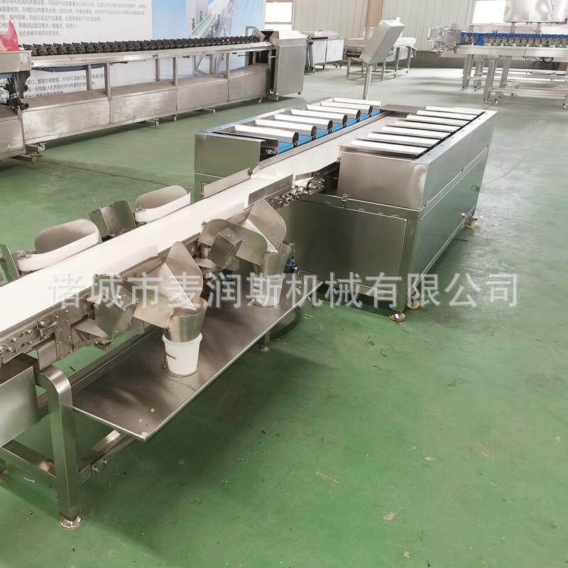 配重组合秤 榴莲肉组合称重机 海参配重组合秤 粽子配重组合秤
