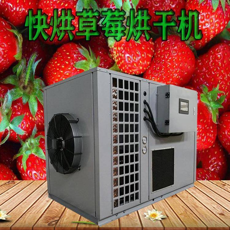 厂家草莓空气能烘干机高温热泵烘干机烘干设备