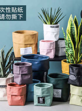 陶瓷简约大号迷你小花盆盆栽创意家用绿萝多肉仙人掌兰花特赵之孙