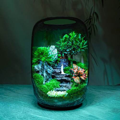 醉翁亭桌面微景观玻璃生态瓶苔藓成品创意盆栽装饰摆件盆景植物