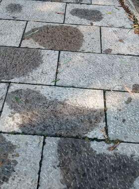 山东青石板台阶石厂家供应广场路面青石板砖文化石錾道面青石板