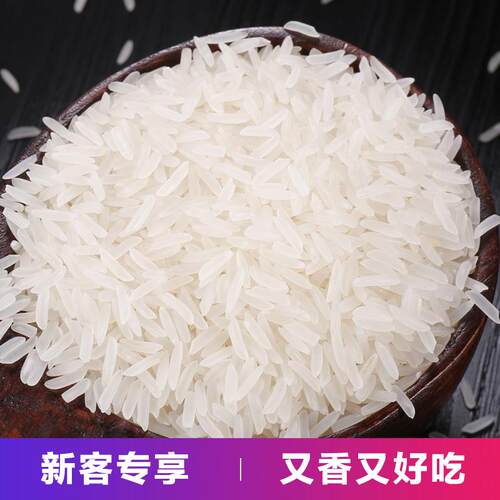 【好米】丝苗米晚稻长粒香新米煲仔饭独立包装口感清香回甜