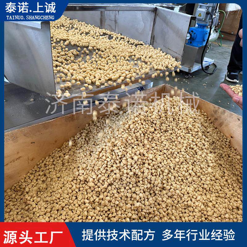 印度拉丝蛋白素肉颗粒生产线 大豆拉丝蛋白设备 球状组织蛋白机器