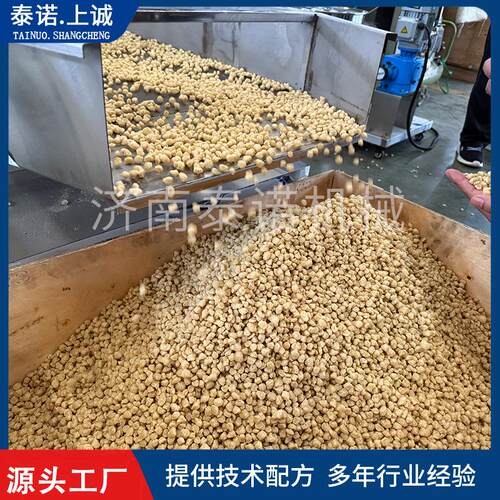 印度拉丝蛋白素肉颗粒生产线 大豆拉丝蛋白设备 球状组织蛋白机器