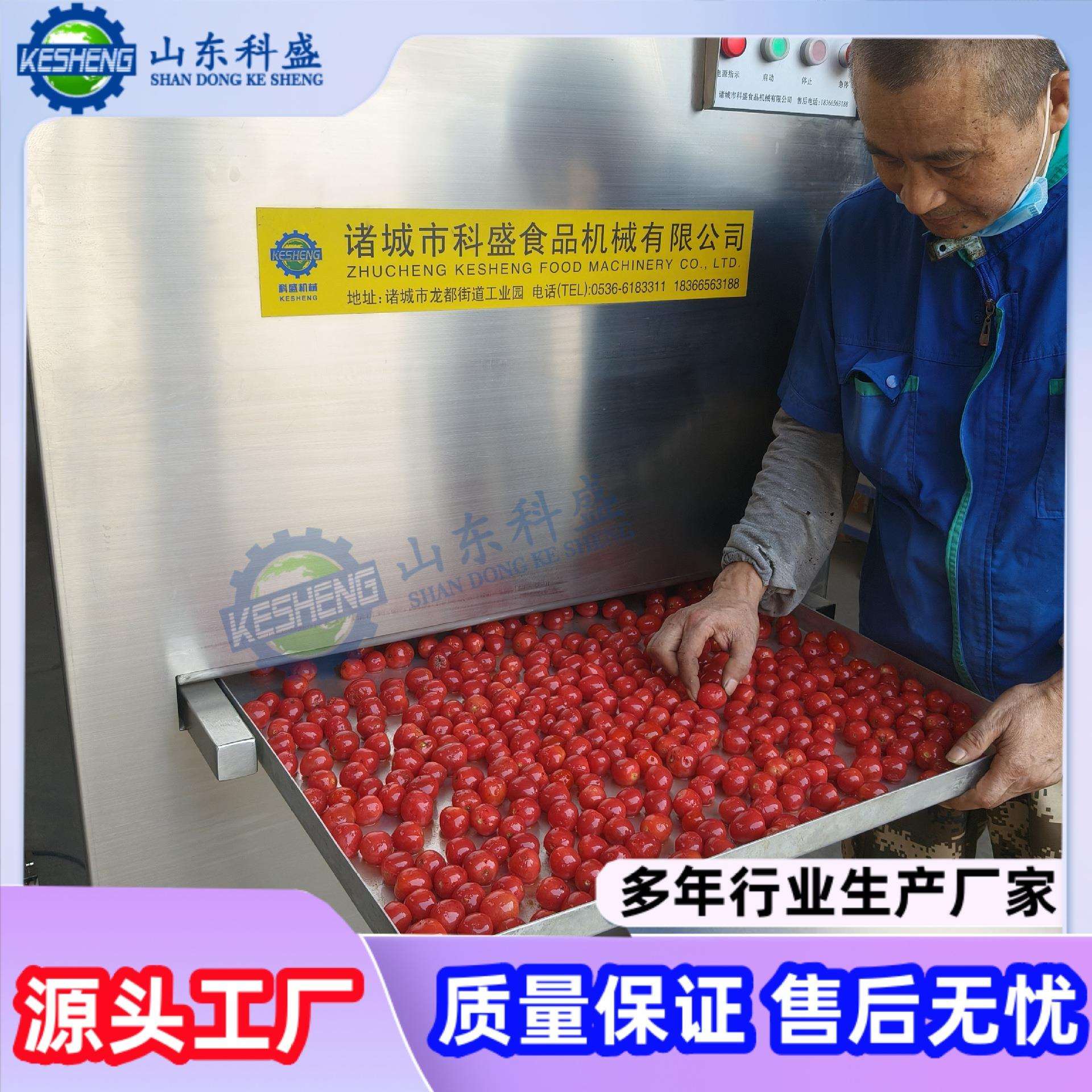冻干蛋黄扎孔机 宠物食品加工设备 扎眼机 全自动扎孔机