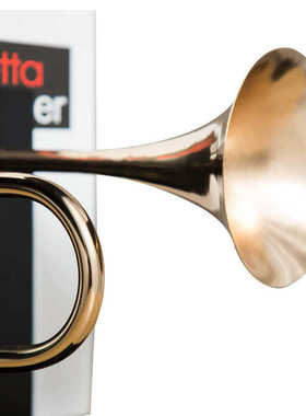 现代简约金色喇叭书档样板房酒店客厅书房柜子展厅创意装饰品摆件