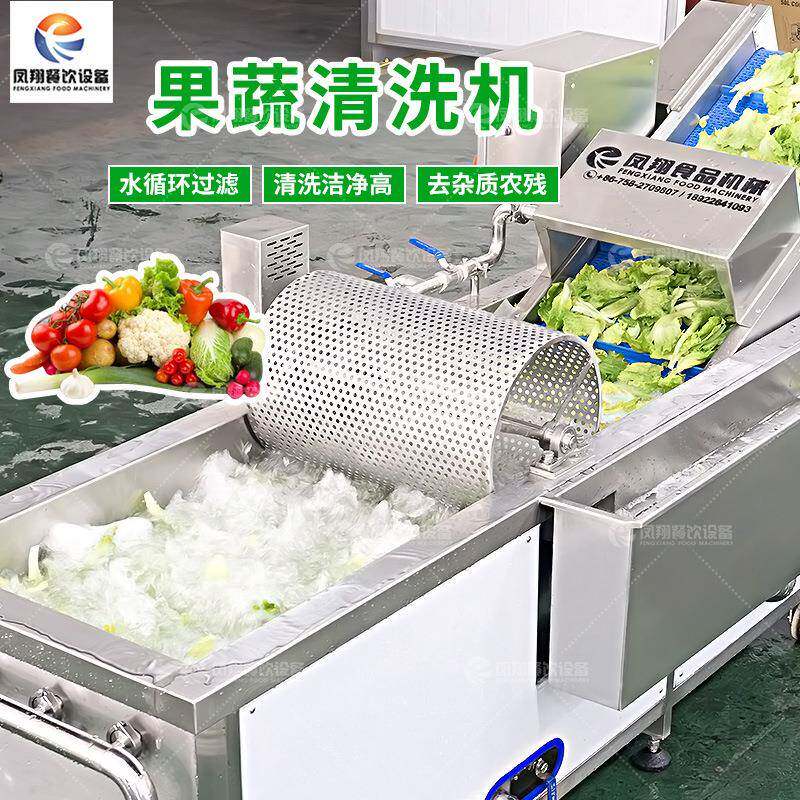 工厂直销果蔬气泡清洗机生菜去农残去虫卵洗菜机西兰花清洗