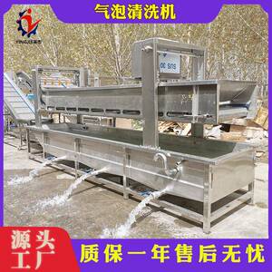 中药材气泡清洗机净菜加工设备黑水虻清洗气泡清洗机整套设备