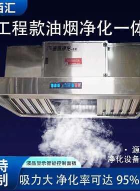 油烟净化一体机商用饭店低空排放不锈钢排烟罩厨房除味设备净化器