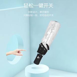 全自动透明雨伞女折叠女神小清新学生三折叠伞双人网红情侣伞加厚