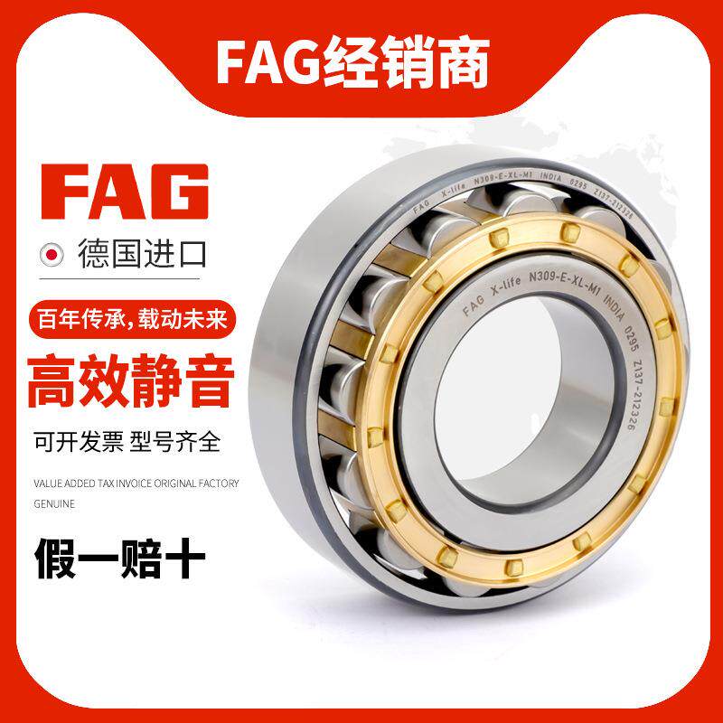 进口MDXFAG圆C柱轴承N202N203N204N2057N206N20X-E-L-TVP2-M1-3