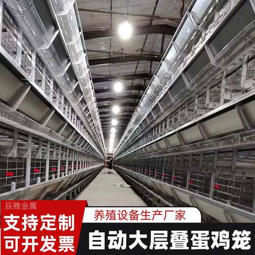 农场养殖鸡笼全自动化大层养鸡设备旧鸡舍改建鸡笼畜牧机械设备