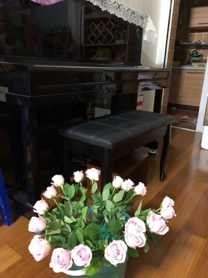 谁来说说布鲁诺钢琴和珠江对比哪个好用些，来说说真相？