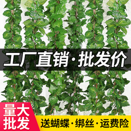 仿真葡萄叶假花藤条藤蔓植物，塑料绿萝树叶子，绿叶下水管道装饰吊顶