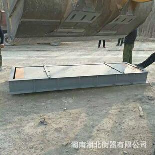 3.2x08.5固汽定式单台面轴重磅称30SCSt40吨地下衡动地态车轮轴仪