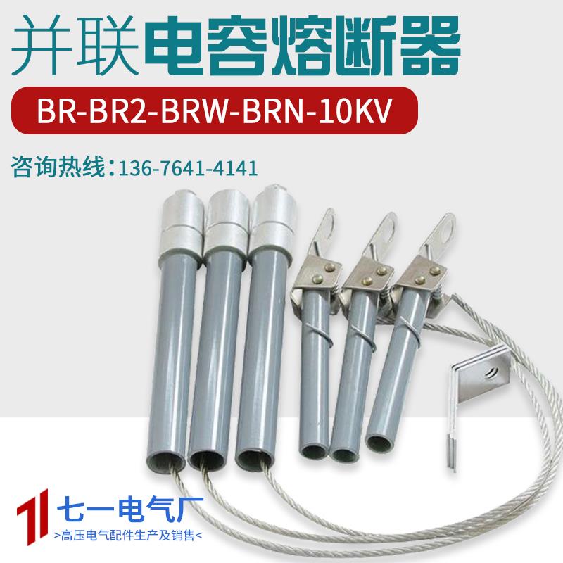 BR2 BRN BRW-10-12KV高压并联电容器30A40A50A70A熔断器管保险丝