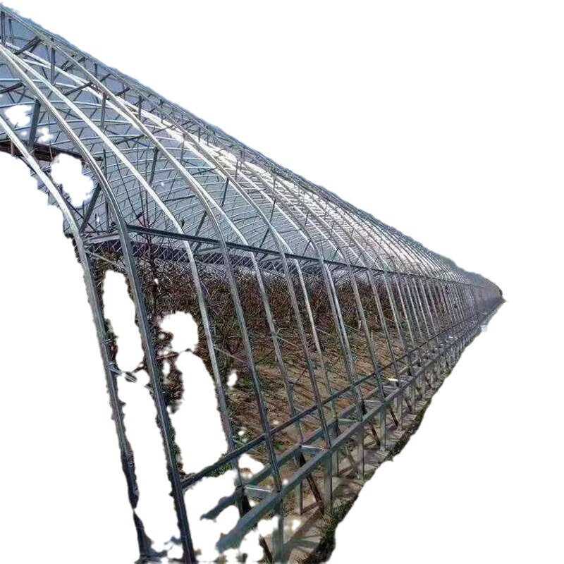 双膜骨架大棚 C型钢骨架大棚 双拱双膜大棚 种植大棚 养殖大棚