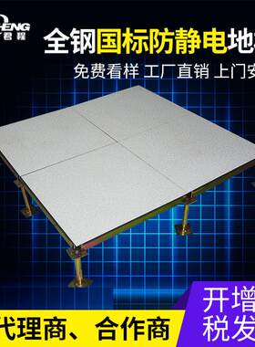 牌厂家招分销国标高架空全钢机房陶瓷防静电地板加工上门安装