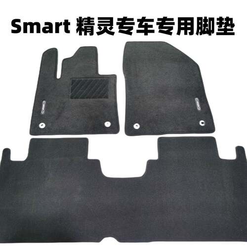 适用于Smart精灵领途朋克多多别克E4E5天鹅绒汽车脚垫4S店