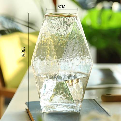 高档北欧sin轻奢风瓶玻璃花瓶透明水养富贵竹百合客几何花厅插花