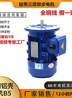 YE5一级能效电机YE5-802-40.75W4极三相异步电机B5铝壳马达