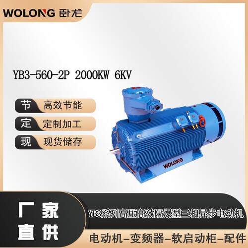 YB3-560-2P2000W6V三相绕线型转子交流异步F防爆电动机