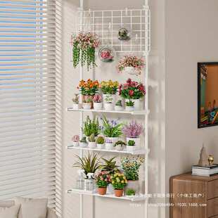 多肉花架置物架阳台层架顶天立地客厅支撑杆展示架室内植物摆放架