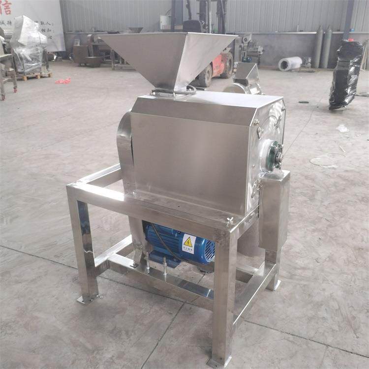 黄皮果杨梅去核打浆机商用红枣芒果去皮去籽打浆不锈钢打浆设备