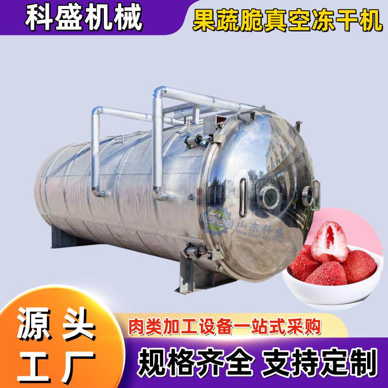 商用真空冷冻干燥机 冻干酸奶榴莲水果机器 宠物零食冻干机