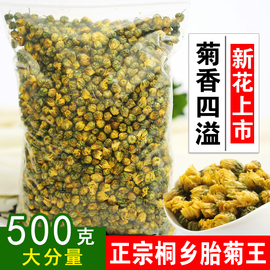 菊花茶500g正宗食用桐乡胎菊王泡水特级杭白菊清火茶贡菊散装