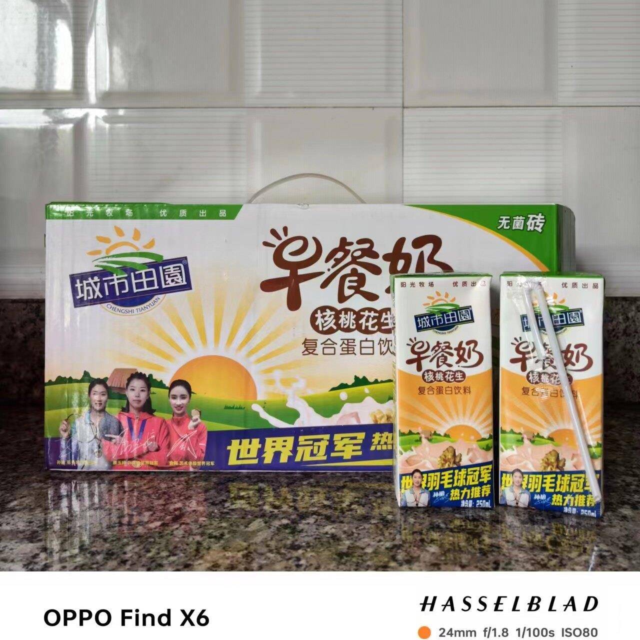 城市田园核桃花生牛奶早餐奶营养早餐奶250ML*24盒整箱包邮
