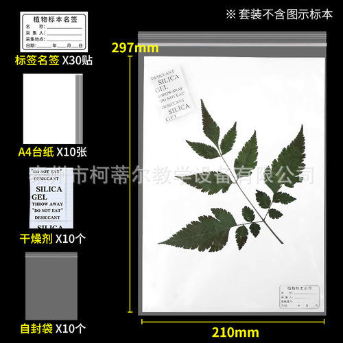 植物标本夹大号全套腊叶压制标本制作材料工具树叶植株夹板压板保
