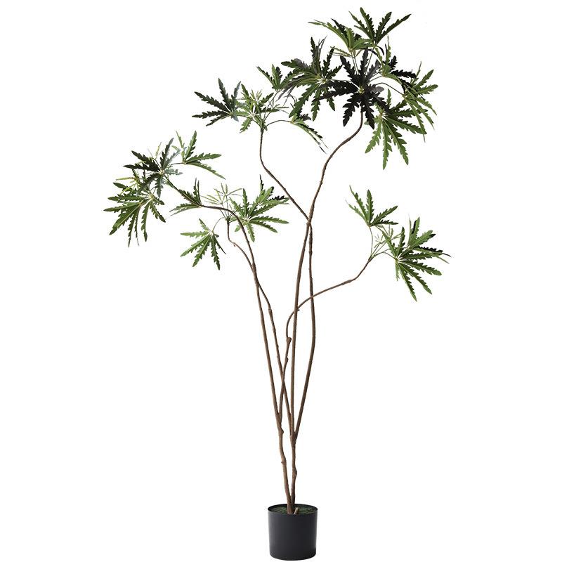 仿真绿植孔雀木大型落地盆栽卧室客厅橱窗装饰摆件假植物真