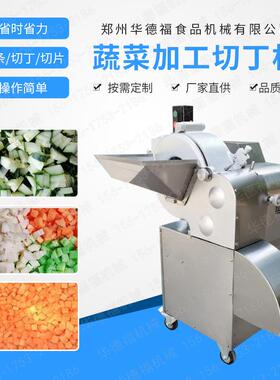 蔬果加工设备多功能切丁机小型切丝机厨房利器高速切丁机设备