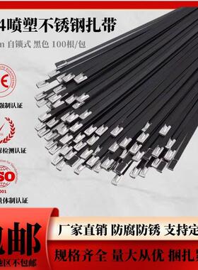 304喷塑挤塑不锈钢扎带 10X300MM 100条/包 黑色电缆扎带金属扎带
