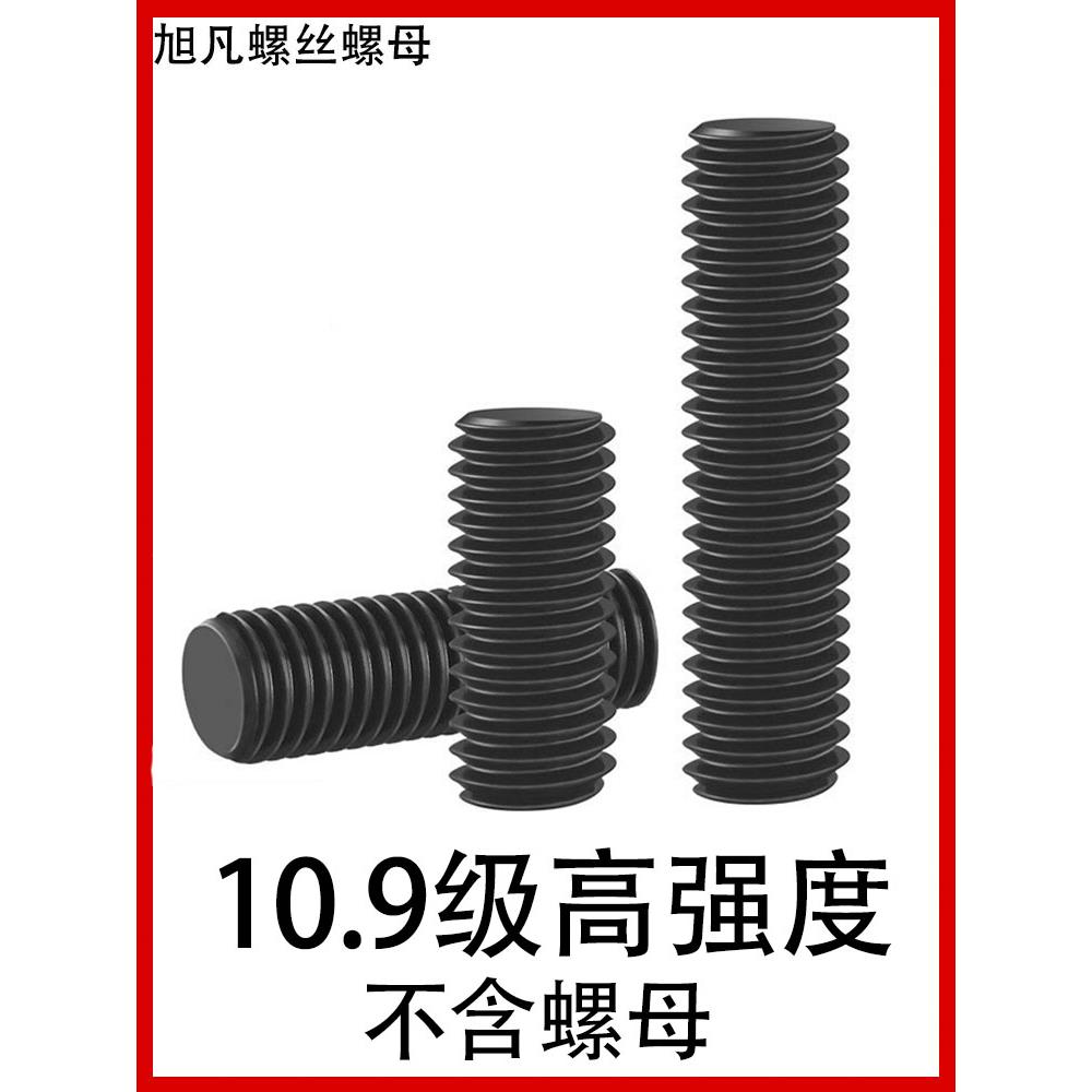 全螺纹螺柱HG20634法兰管用全牙双头螺栓10.9级通丝螺杆螺丝M8M30