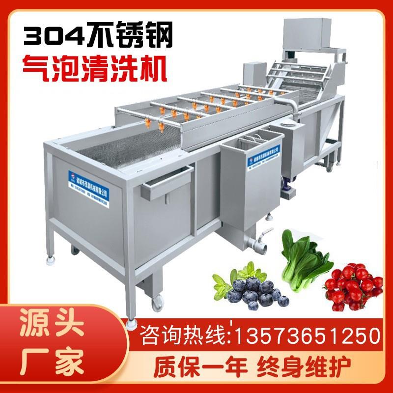 果蔬高压喷淋气泡清洗机 全自动大型商用洗菜机 芹菜大枣桃子清洗