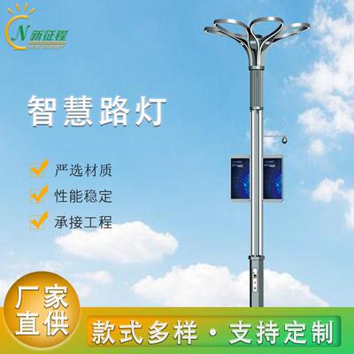厂家直供智慧路灯城市户外照明系统智能化多功能智慧路灯杆