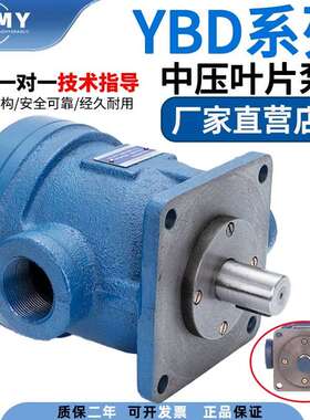 液压泵总成小型YBD-32/6.3/10/16液压油泵齿轮泵液压泵配件油压泵