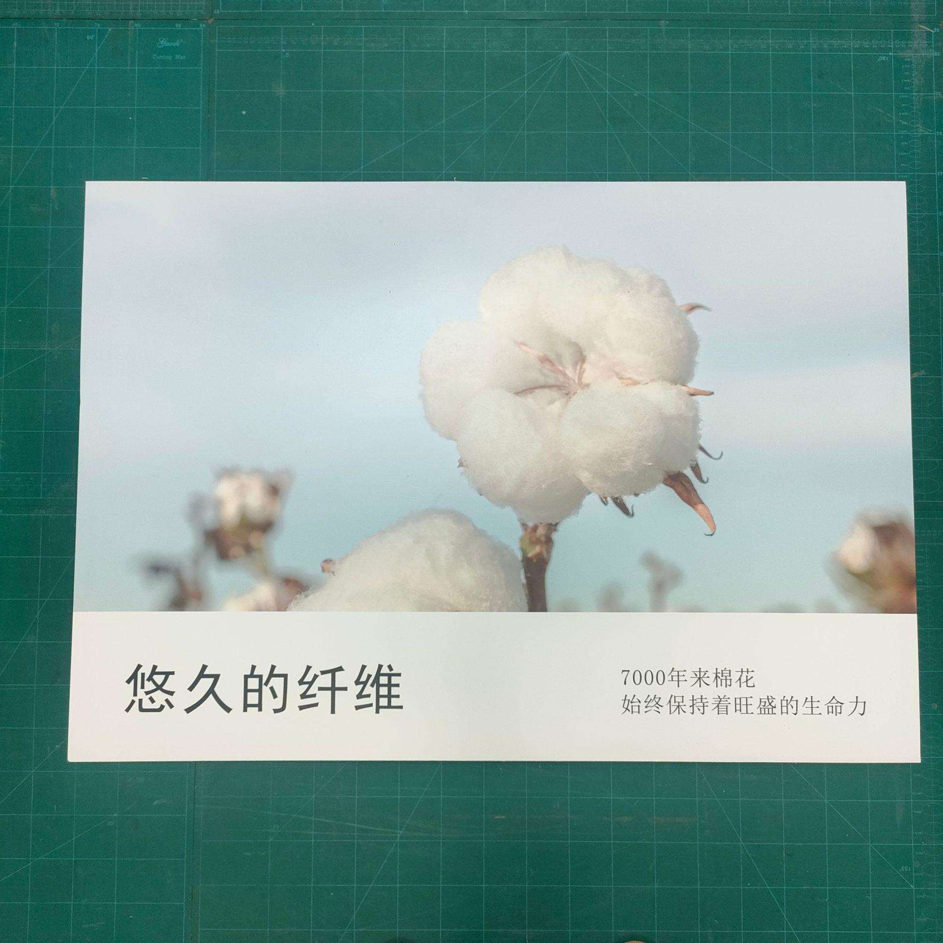 雪弗板源头厂家供应高密度pvc发泡板 家装雕刻量产
